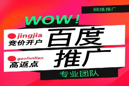 百度推广托管成功案例，揭秘低成本高回报策略